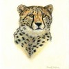 Pastel_cheetah__481_x_600__thumb