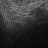 172486_1806427033504_1024762565_32161169_3115525_o_thumb