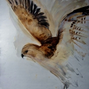 Bird_of_prey_1988_card