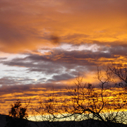 Sky_-_jan