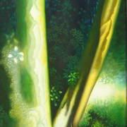 In_a_celtic_glade_card