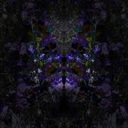 Thefaceii_card