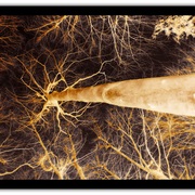 Untitled-2_card