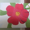 Dscf2291_thumb