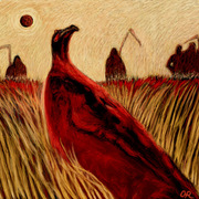 Redbirdrr_card