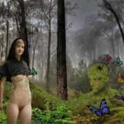 Fotos-_stefan_soell_card