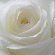 My_photos_002_card
