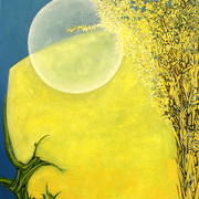 Supermoon_in_deeping_fen_card