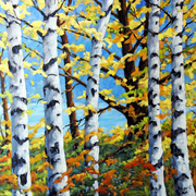 Where_the_birches_grow_card