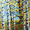 Where_the_birches_grow_thumb