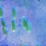 Blue_promise_card