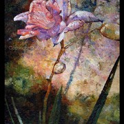 75b_card
