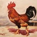 Petl__796_x_636__square