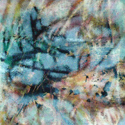 Gestation_n__1_card