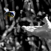 _dsc0231_card