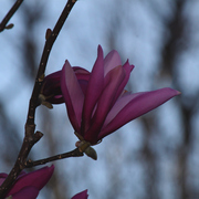 010040611a_card