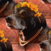 Revisedgypsyflowerspearls_card