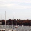 002_thumb