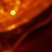 Pdr_0011_card