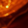 Pdr_0011_thumb