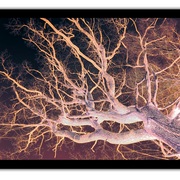 Untitled-2_card