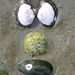 Shocked_large_4x6_square