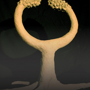 Jasonlu_duality_card