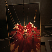 Jasonlu_holy_freedom_card