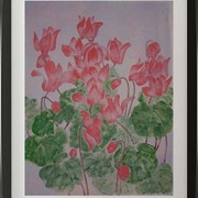 Florists_cyclamen_card