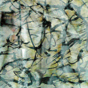 Gestation_n__5_card