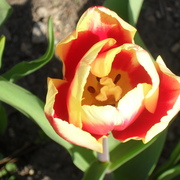 My_photos_009_card