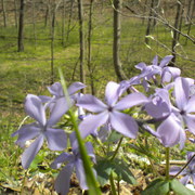 Dscn0888_card