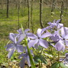 Dscn0888_thumb