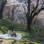Sakura_2_card
