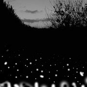 Evidences-01_card