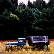 Truck_3_card