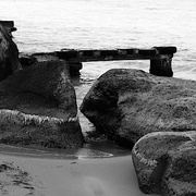 Dsc03459-walk1002-8_card