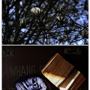 Bl_card