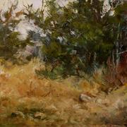 P7140521_card