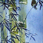 Bamboo_winter_card