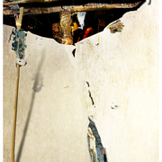 Walking_sticks_2_card