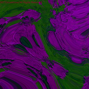 Dsc00047