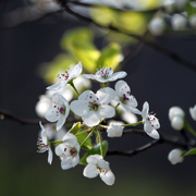 041040811b_card