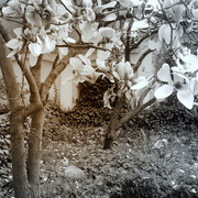 ______3721_card