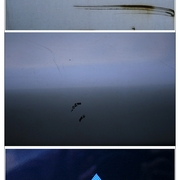 Light_card