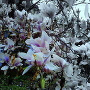 ______3724_card