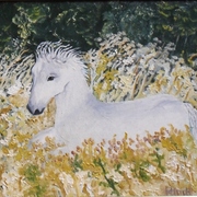 Sdc10670_card