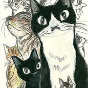 Hamakichikeart_card