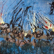 Img_5593_card