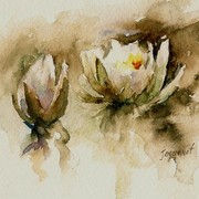Waterlily_sketsh0001_card